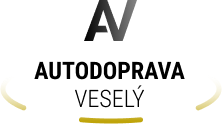 Primary Raster logo
